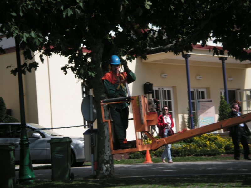 PODA JARDINERIA  FOTOS IMAGENES